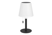 Lampy - EGLO MONTAPALMA SOLAR BOARD RGBW ŚCIEMNIACZ BIAŁY/ - 75889
