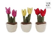 Male prezenty dla dzieci - Pocket Money Plants Plush tulip 25cm - assorted - 660627