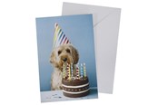 Materiały hobbystyczne - SCANSEASON Card with envelope dog with cake 11*17cm - 100253