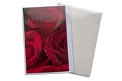 Materialy hobbystyczne - Hobby Mate Card with envelope FLOWERS11*17cm - 100258