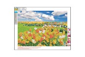 Materiały hobbystyczne - CENTRUM Diamond Painting 30*40cm. Tulip field - 89757