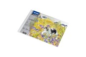 Materialy hobbystyczne - SPREE Drawing pad 350g. 10 sheets. A5 210*150mm. - 41915