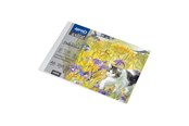 Materialy hobbystyczne - SPREE Drawing pad 350g. 10 sheets. A6 150*100mm. - 41916
