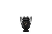 Perfumy i zapachy - PACO RABANNE Invictus Victory Absolu - 50 ml - 3349668641826