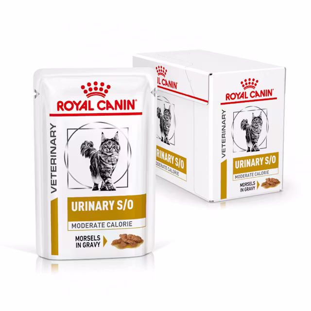 Koty - Royal Canin Urinary S/O Moderate Calorie Morsels In Gravy 85g (12-Pack) - 9003579010228