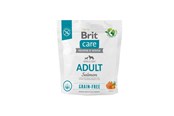 Psy - Brit Care Dog Grain-free Adult Salmon 1kg - 8595602558858