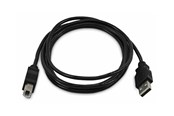 Kabel USB - StarTech.com - USB cable - USB to USB Type B - TAA Compliant - SKUSBAB06-TAA