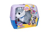 Plusz - Little Live Pets OUCHIES HUSKY - 26680