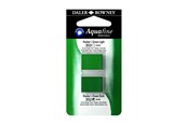 Artykuly Artystyczne & Rzemieslnicze - Daler-Rowney Aquafine HP Hookers Green Light/Hookers Green Dark - 16-131017015