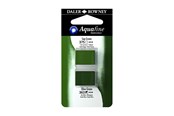 Artykuly Artystyczne & Rzemieslnicze - Daler-Rowney Aquafine HP Sap Green/Olive Green - 16-131017016