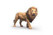 Schleich - Schleich African Lion - 14974