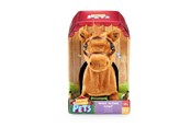 Plusz - Happy Pets Walk Along Pony - 602575