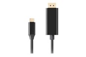 Kabel wyświetlacza - Lanberg - USB-C / DisplayPort adapter - USB-C to DisplayPort - 3 m - CA-CMDP-10CU-0030-BK