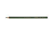 Przybory do pisania i rysowania - STABILO ALL - coloured pencil - green - 8043