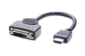 Kabel wyswietlacza - Lindy adapter - 20 cm - 41227