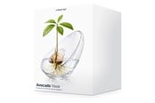 Dekoracje - Mikamax Avocado Vase - 05198