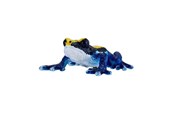 Figurki - Mojo Wildlife Poison Dart Frog Blue - 381069