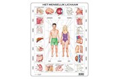 Puzzle - Selecta Play Larsen The Human Body 35st. Podłoga - LA-OB1-NL