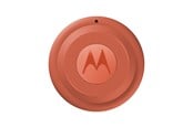 Telefon - Inne akcesoria - Motorola moto tag 2 - PANTONE Arabesque (1x) - PG38C08027