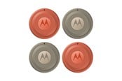 Telefon - Inne akcesoria - Motorola moto tag 2 - PANTONE Arabesque (2x) + PANTONE Laurel Oak (2x) - PG38C08028