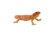 Figurki - Mojo Wildlife Bearded Dragon - 381096