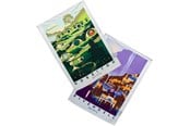 Drobiazgi - Weta Workshop - The Lord of the Rings - Rivendell & Hobbiton Tea Towel Set of 2 - Ręcznik - 9420024727744