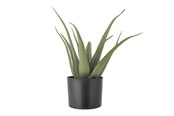 Dekoracje - Bloomingville Aloe - 82061499