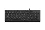 Klawiatura - Lenovo Essential - keyboard - 2.5-zone layout - QWERTY - US with Euro symbol - black Input Device - Klawiatury - Angielski - Czarny - 4Y41R64672