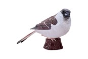 Figurki - Mojo Farmland House Sparrow - 381114