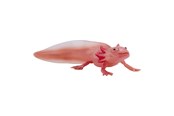 Figurki - Mojo Wildlife Axolotl - 381108