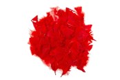 Artykuly Artystyczne & Rzemieslnicze - Colorations - Red Feathers 25 grams - CHREDF25