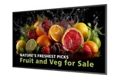 Monitory reklamowe i Telewizory hotelowe - Philips 50BDL5050D 5000 Series - 50" Class (49.5" viewable) LED-backlit LCD display - 4K - for digital signage - 50BDL5050D/00