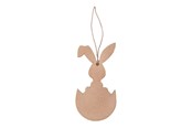 Artykuly Artystyczne & Rzemieslnicze - Colorations Decorate your own Easter pendants 6 pcs. - 46EN14