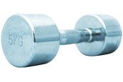 Sport i fitness - TITAN LIFE PRO Chrome Dumbbell 5 kg - 400-800722