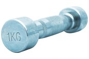 Sport i fitness - TITAN LIFE PRO Chrome Dumbbell 1 kg - 400-800714