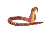 Plusz - Wild Republic Plush Toy Snakes 137 cm Foil Cobra - 27368
