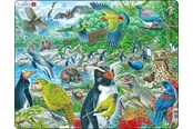Puzzle - Larsen Puzzles Puzzle Wildlife in New Zealand - 53 pieces Maxi (36.5x28.5 cm) Podłoga - FH44
