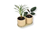 Dekoracje - Simiu TWINDA - Double Planter in beige and light olive - 8.5cm - 5714255012392