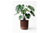Dekoracje - Simiu GROWLOFT - Flower Pot Shelter With Drip Tray - Mocha - 8.2cm high - 5714255012132