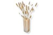Dekoracje - Simiu NORA - Vase - 21cm - 5714255012354