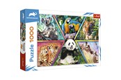 Puzzle - Trefl Puzzle - ANIMAL PLANET - Animal Kingdom (1000 pieces) - TFL10672