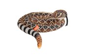Plusz - Wild Republic Plush Toy Living Earth Snakes 152 cm Western Diamondback Rattlesnake - 29346