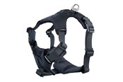 Psy - Dogman Emmi - 213701