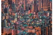 Puzzle - Clementoni Puzzle HQC The Hive Hong Kong 1500 pieces Podłoga - 31692