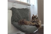 Koty - Dogman 804960 dog / cat bed - 804960