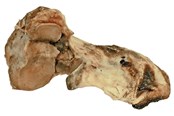 Psy - Dogman Wołowa kość stawowa - 480688
