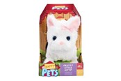 Lalki i akcesoria - Happy Pets Pretty Little Kitty – White kitten - 602523