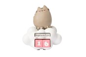 Drobiazgi - Grupo Erik - Pusheen Calendar - Kalendarz - CP3D04