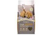 Gryzonie - Burgess Excel indoor rabbit 10kg - 22211