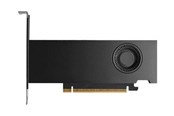 Karta graficzna - Dell RTX PRO 2000 Blackwell Workstation Edition - 16GB GDDR7 RAM - Karta graficzna - DELL-818KR